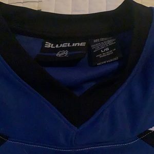 St. Louis Blues NHL Team Shirt/Jersey Fabric